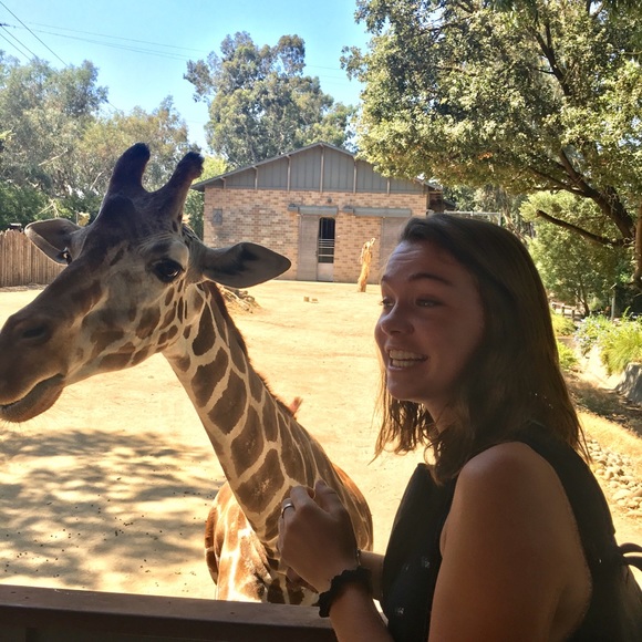 Meet your Posher, Payton - Picture 1 of 1